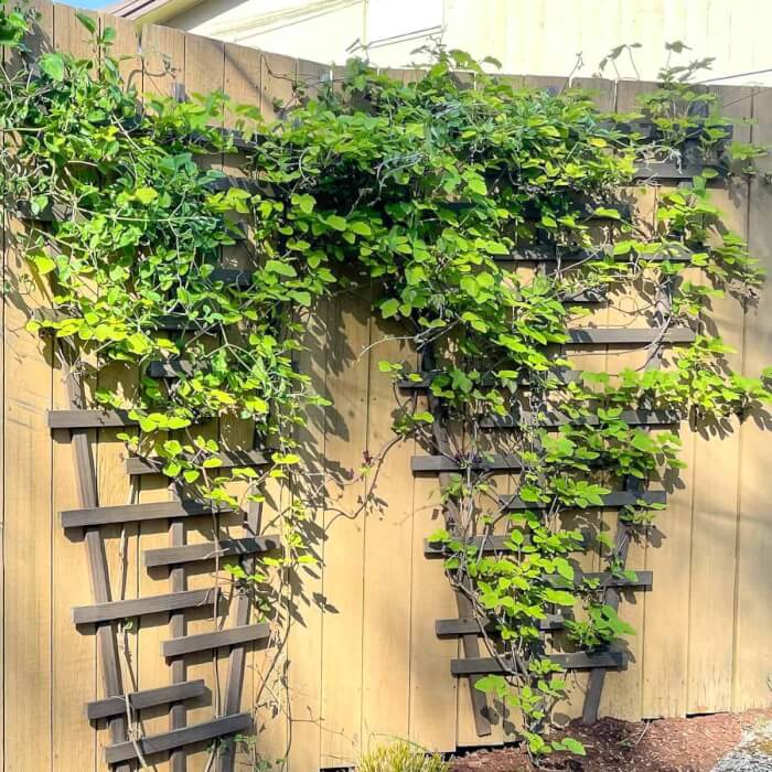 18 elegant DIY design ideas that will turn your garden into art - 127