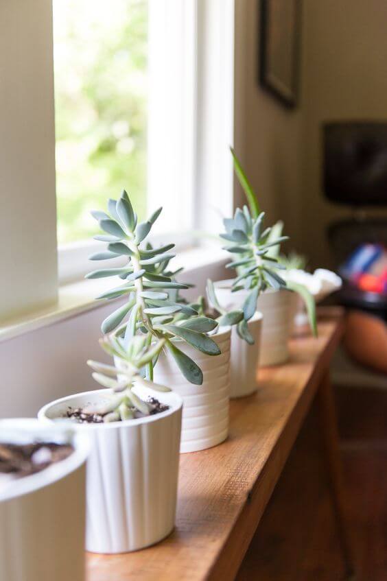 25 simple and easy ideas for decorating the windowsill - 187