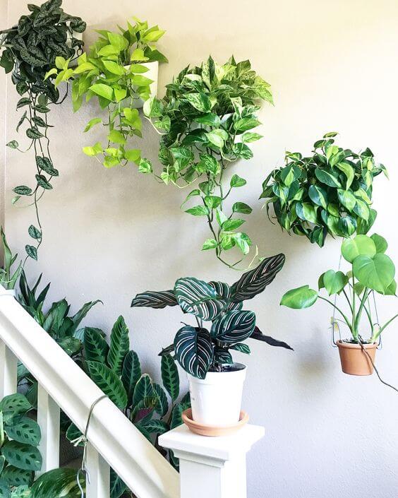 34 eye-catching stair decor ideas with plants - 211