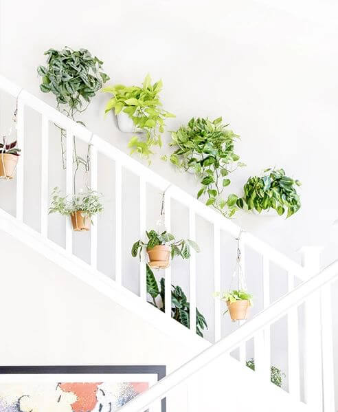 34 eye-catching stair decor ideas with plants - 221