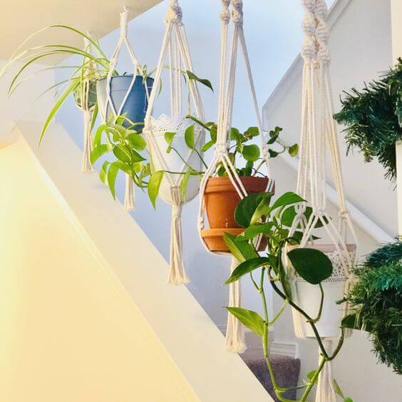 34 eye-catching stair decor ideas with plants - 231