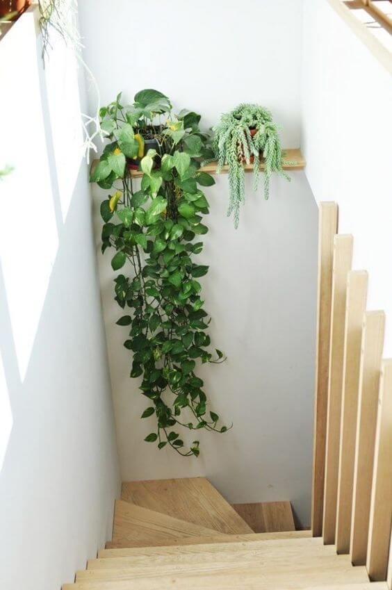 34 eye-catching stair decor ideas with plants - 247