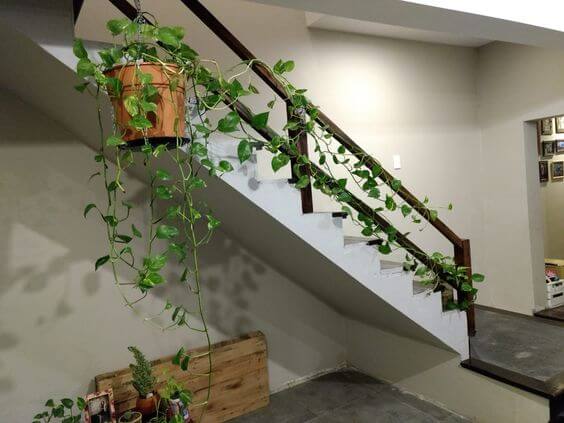 34 eye-catching stair decor ideas with plants - 257