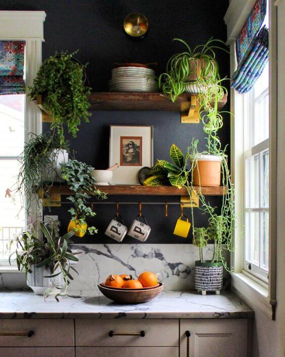 21 ideas for decorating kitchen space with plants - 137
