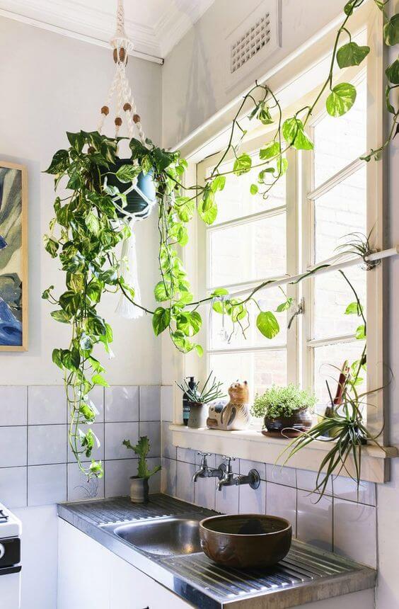 21 ideas for decorating kitchen space with plants - 167