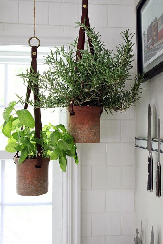 21 ideas for decorating kitchen space with plants - 169