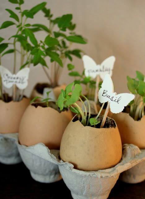 25 DIY eggshell planters to add interest to your indoor garden - 165