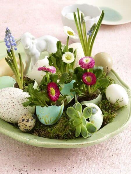 25 DIY eggshell planters to add interest to your indoor garden - 177