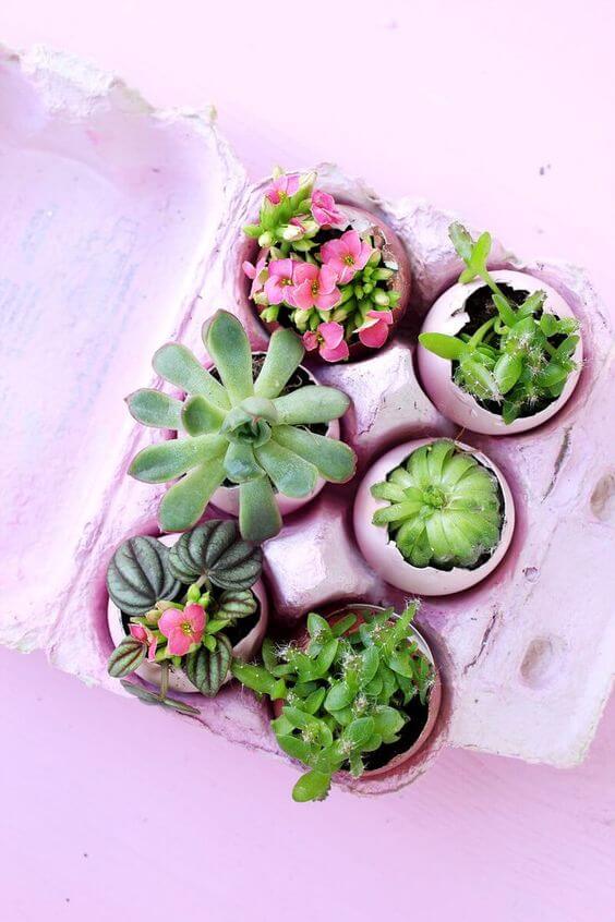 25 DIY eggshell planters to add interest to your indoor garden - 181