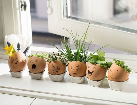 25 DIY eggshell planters to add interest to your indoor garden - 185
