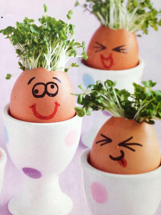25 DIY eggshell planters to add interest to your indoor garden - 195