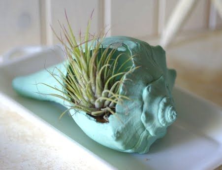 26 beach themed centerpieces to add coastal charm to your table - 173