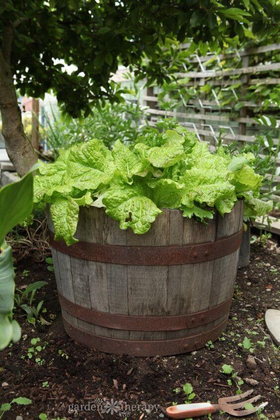 24 repurposed old wine barrel ideas for the garden - 157
