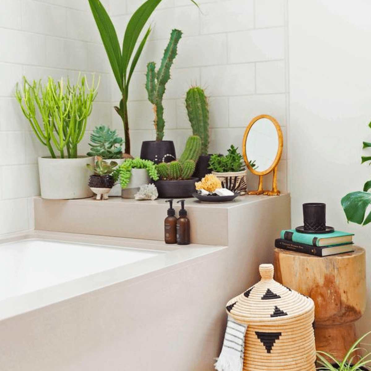 33 adorable bathroom plant shelf ideas - 255