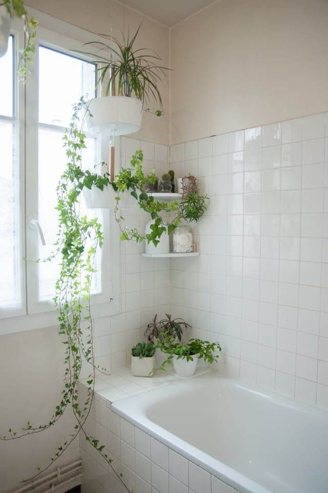 33 adorable bathroom plant shelf ideas - 205