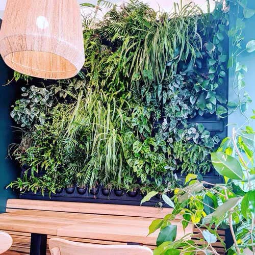 Charming wall decoration ideas with lots of greenery and plants - 17