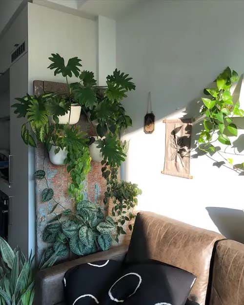 Charming wall decoration ideas with lots of greenery and plants - 23