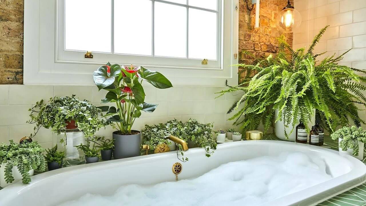 33 adorable ideas for plant shelves in the bathroom - 249