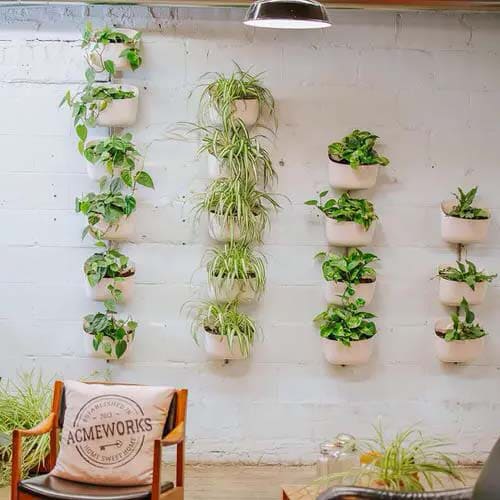 Charming wall decoration ideas with lots of greenery and plants - 15