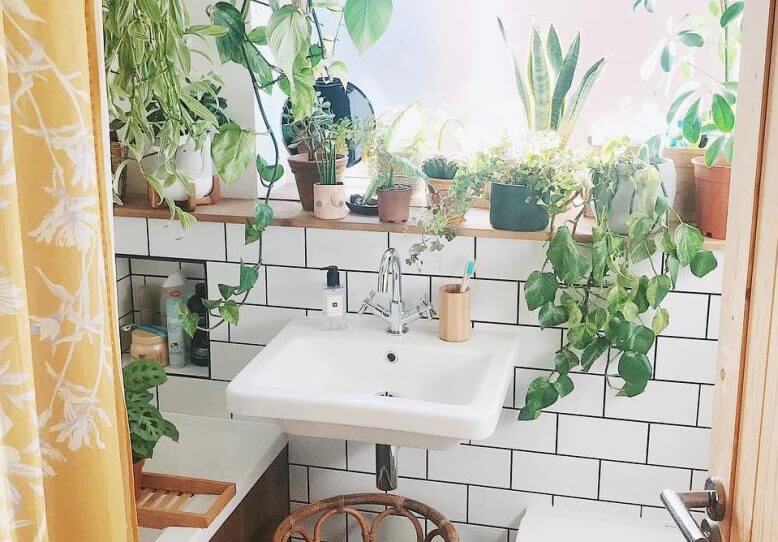 33 adorable ideas for plant shelves in the bathroom - 221