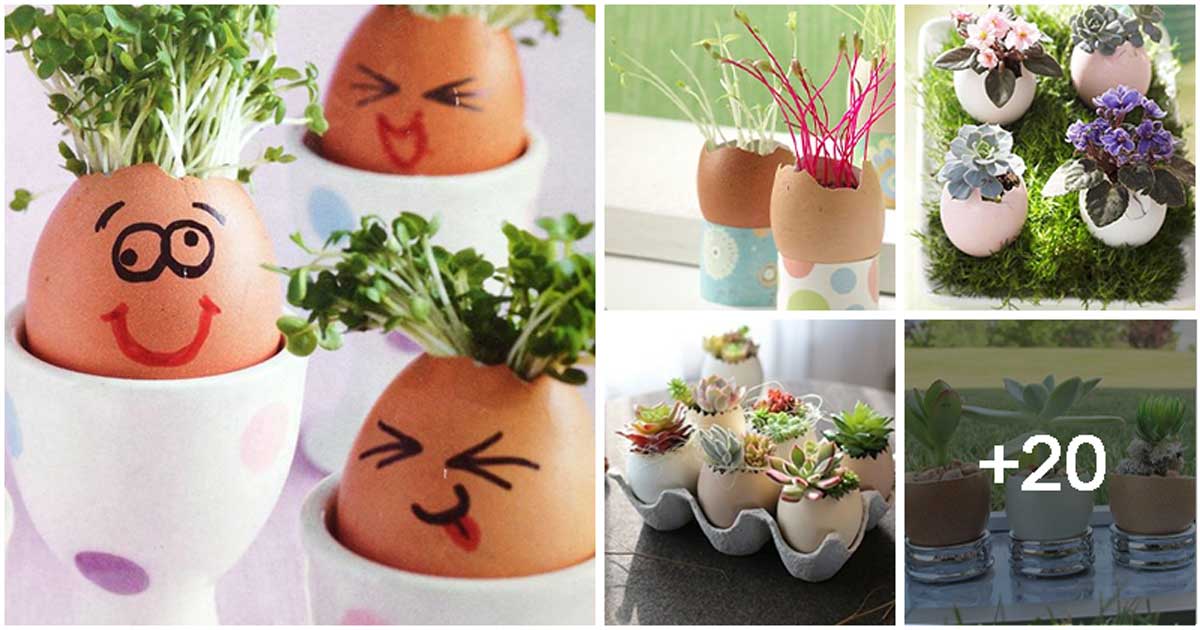 25 DIY Eggshell Planters To Add Interest To Your Indoor Garden