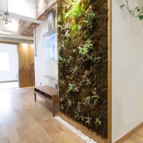 Charming wall decoration ideas with lots of greenery and plants - 27