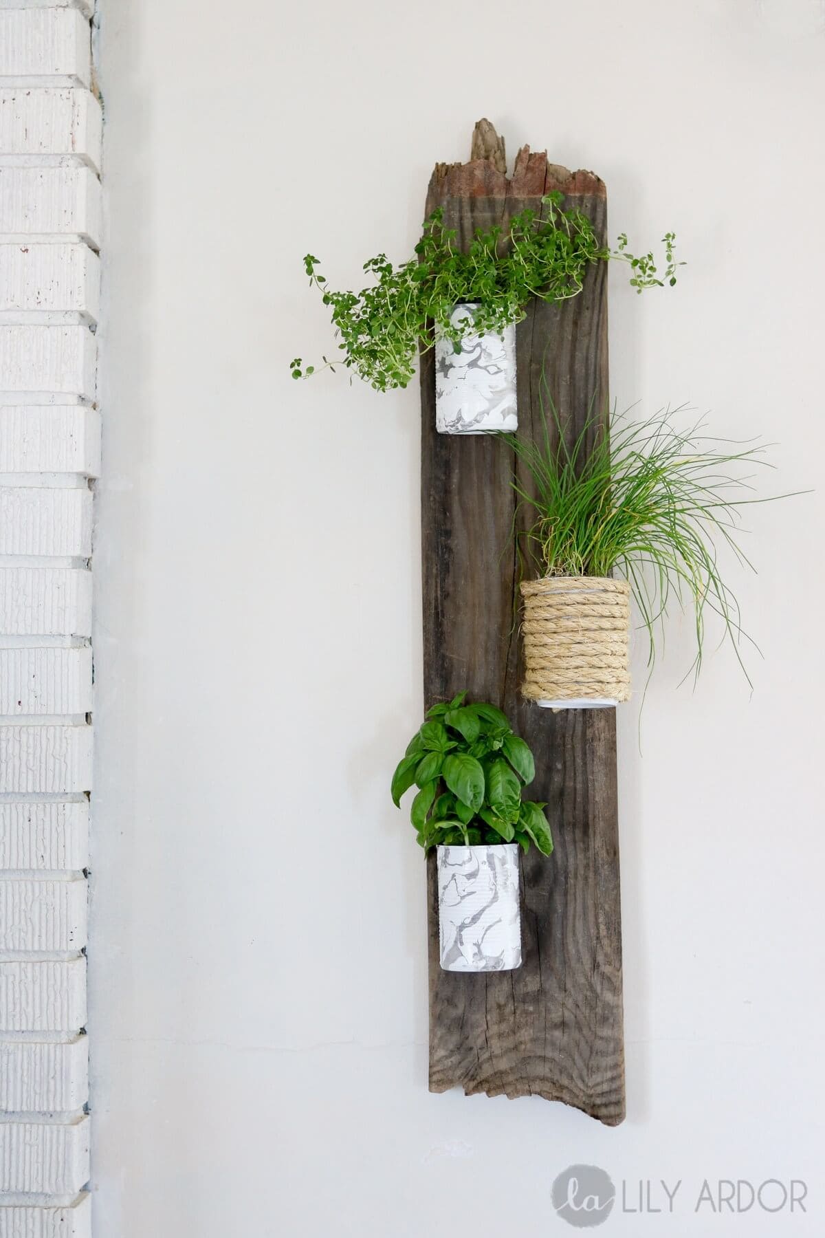 23 impressive hanging vases and planters ideas to decorate your boring wall - 75