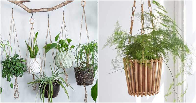 18 unique hanging basket ideas for your houseplant - 69