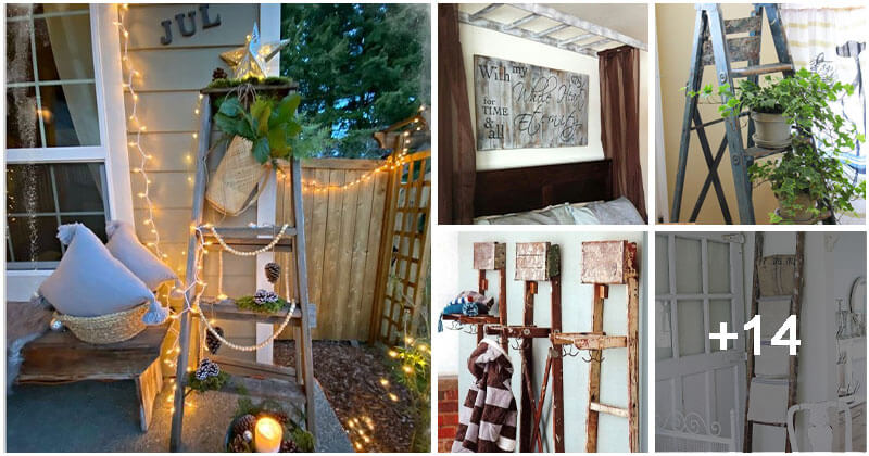 Unique home ideas with vintage ladders