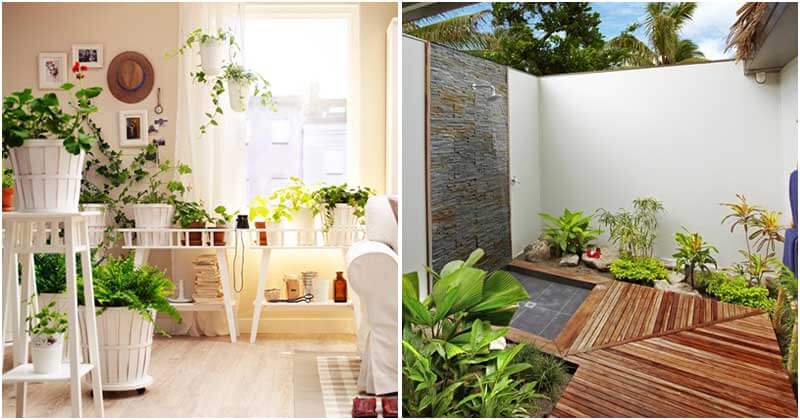 27 Ways to Decorate Home With Plants and Greenery
