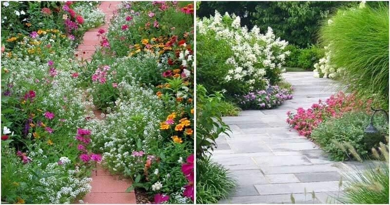 Beautiful Flower Path Ideas For Your Garden