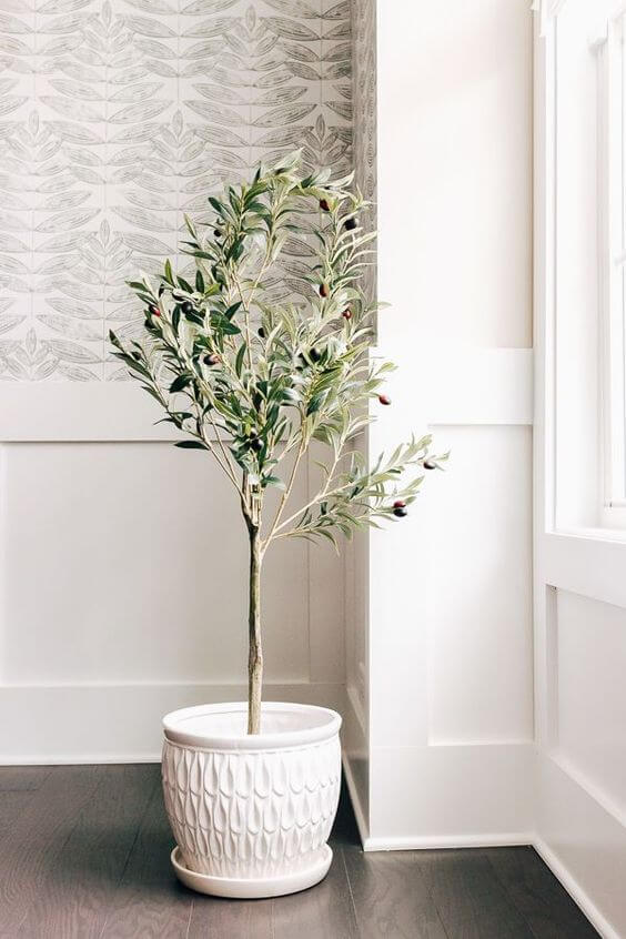 25 incredible houseplants in vases you might get addicted to - 189
