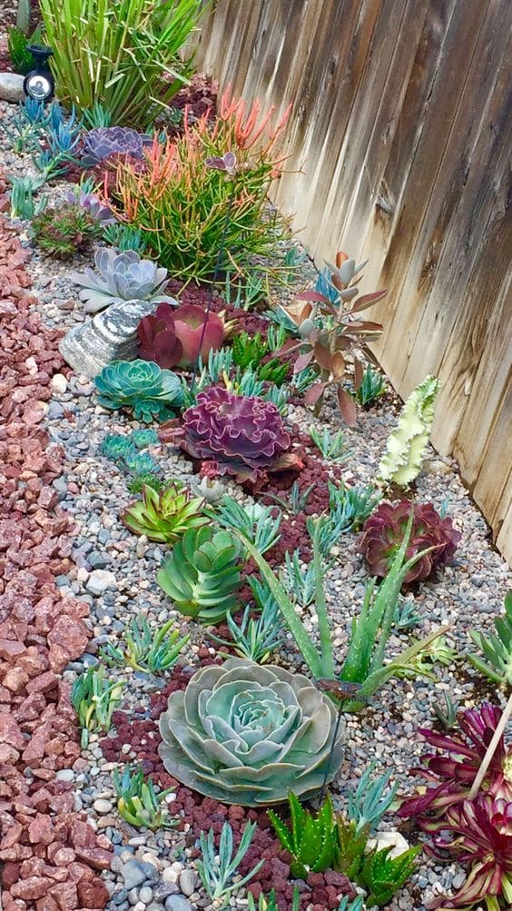 30 pictures that prove succulents can thrive anywhere - 131