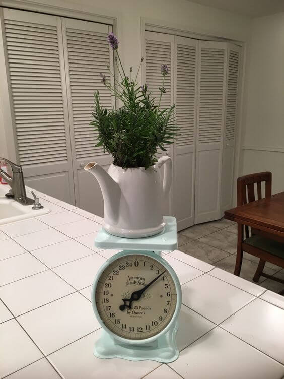 23 DIY ideas to use old teapots for home and garden