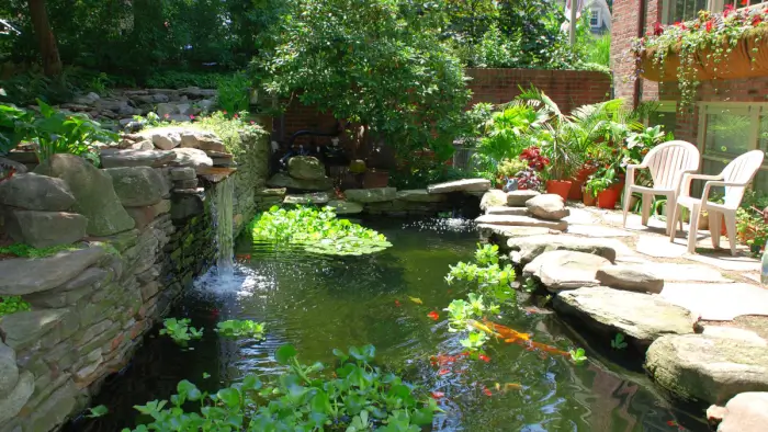 27 creative ponds in the garden - 205