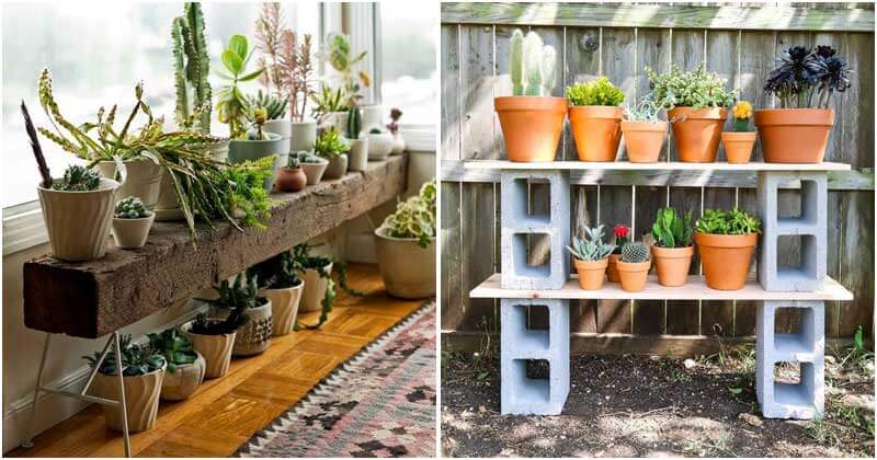30 beautiful shelves for plants to take away - 101