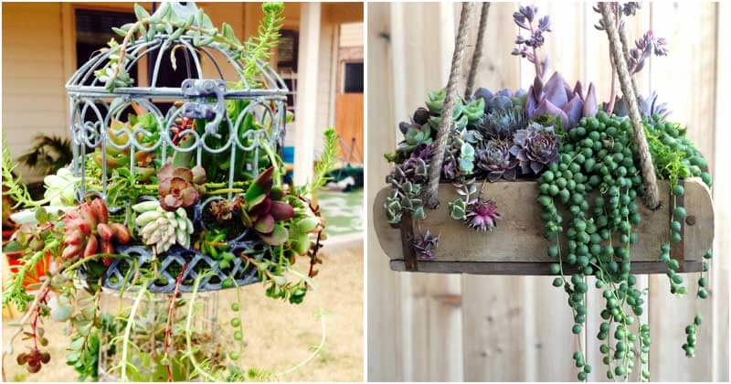 25 fascinating ideas to build a hanging mini succulent garden - 71