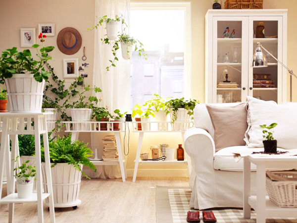 27 ways to decorate your home with plants and greenery - 65