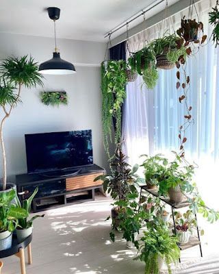 47 stunning ways to display plants in your living space - 301