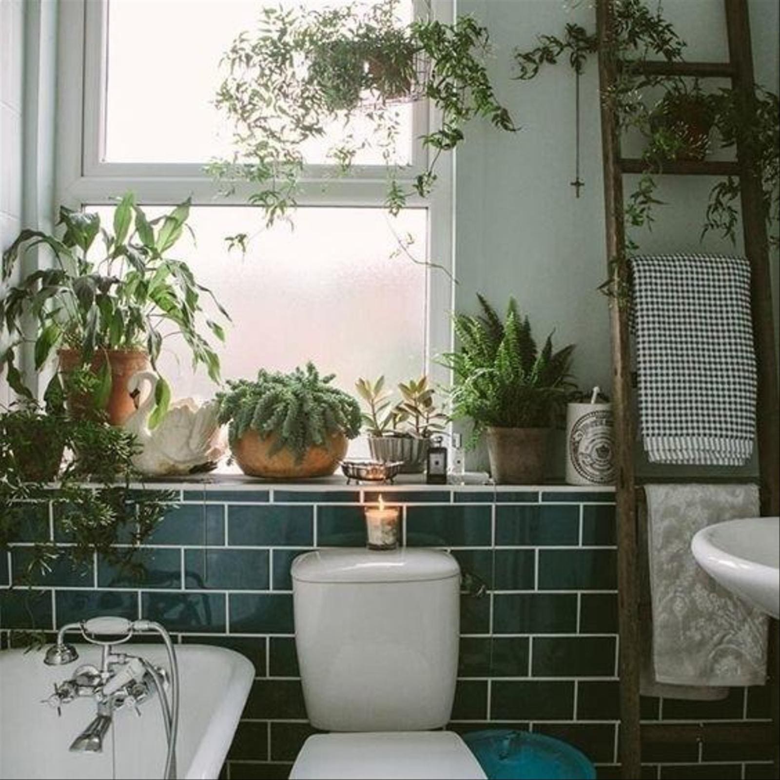 16 Stunning Bathroom Garden Ideas - 77