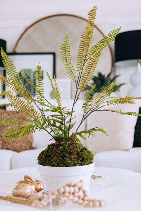 21 best ideas to decorate the house with ferns - 149