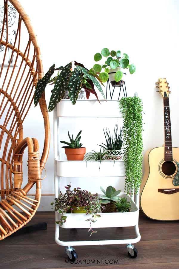 30 beautiful shelves for plants to take away - 127