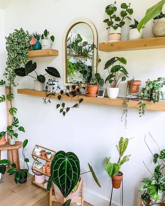 28 beautiful plant shelves for your home - 115