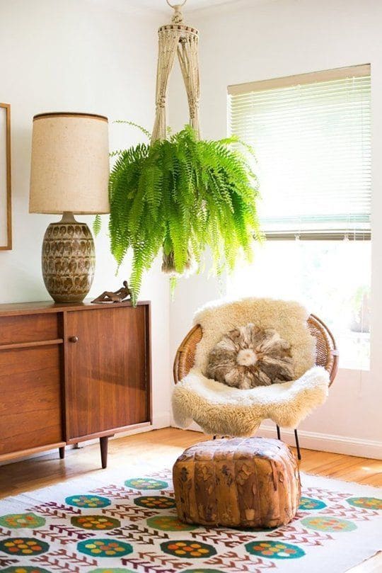 21 best ideas to decorate your home with ferns - 151