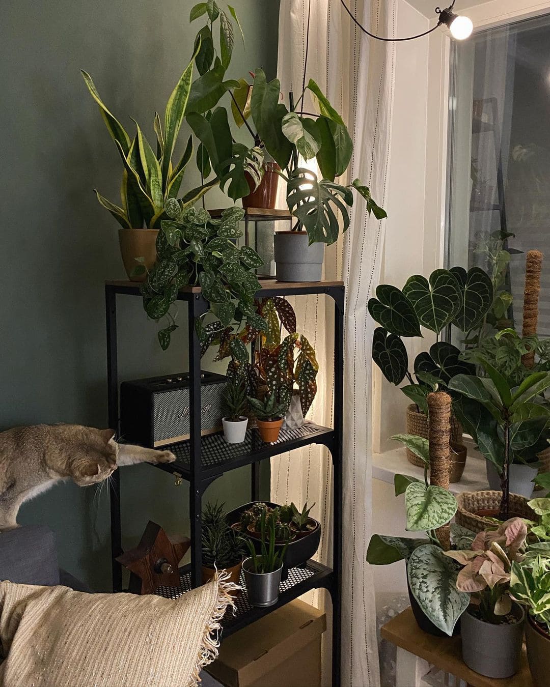 30 Stunning Indoor Garden Trends You'll Be Following This Year - 123