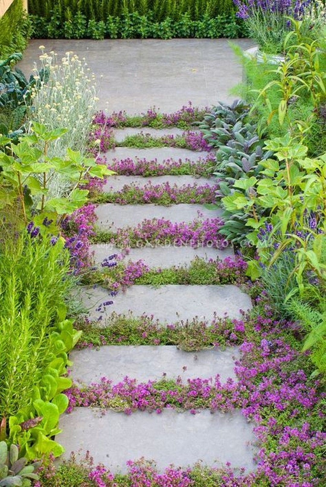 Beautiful flower path ideas for your garden - 67