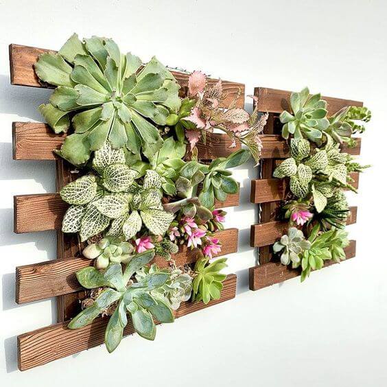 35 eye-catching indoor wall decor ideas with plants that will inspire you - 217