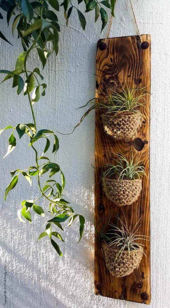 35 eye-catching indoor wall decor ideas with plants that will inspire you - 229