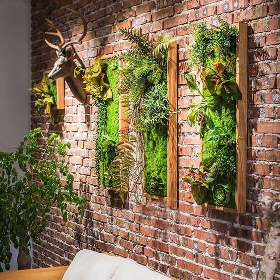 35 eye-catching indoor wall decor ideas with plants that will inspire you - 243