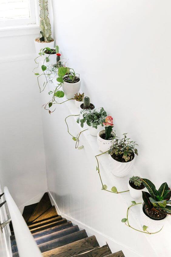 35 eye-catching indoor wall decor ideas with plants that will inspire you - 245